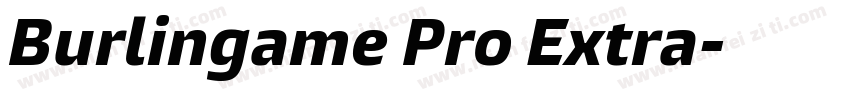 Burlingame Pro Extra字体转换